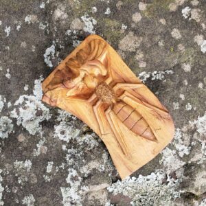 Inseto Imaginário nº 03 - Elosman - 19 x 12 x 4 cm