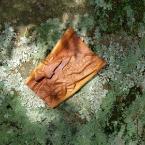 Inseto Imaginário nº 08 - Elosman - 19 x 13 x 6 cm