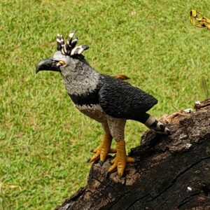 Gavião Real Macuxi P - 7 x 4 x 7 cm