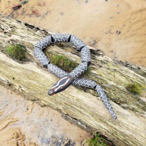 Cobra Miriti - 160 cm