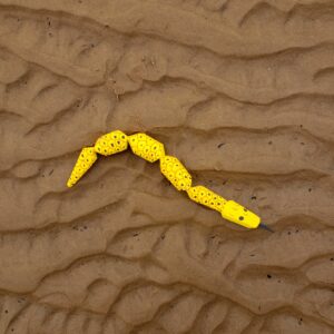 Cobra Miriti - 40 cm - nº 3