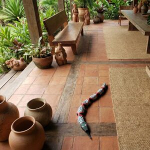 Cobra Miriti - 35 cm - nº 3